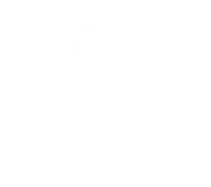 star-solid-300x267