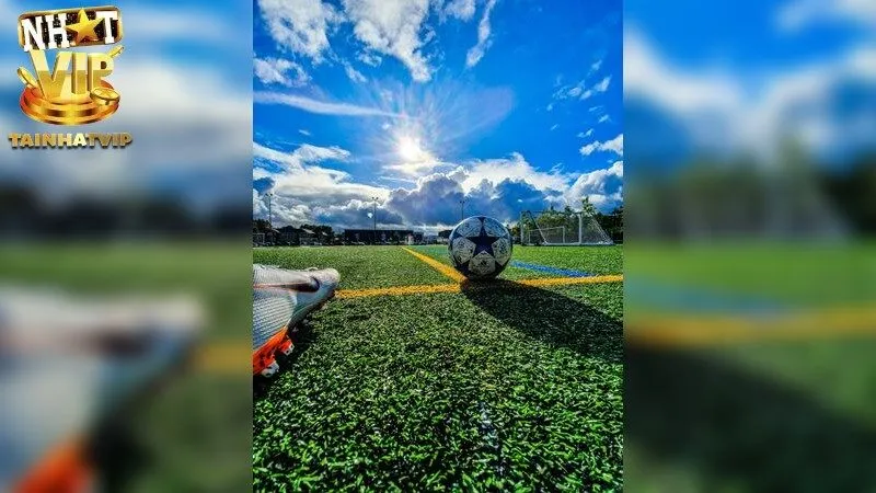 Cá cược online – Trải nghiệm đỉnh cao cùng Nhatvip