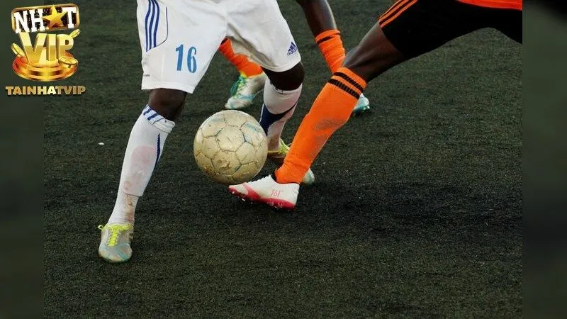 Nhận định bóng đá – Đưa ra dự đoán chính xác từng vòng đấu