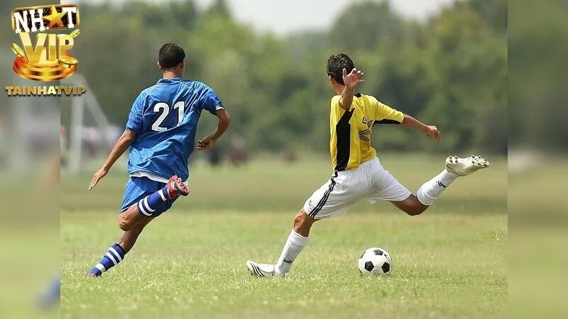 Nhận định kèo nhà cái – Tự tin chiến thắng và dự đoán Chuẩn